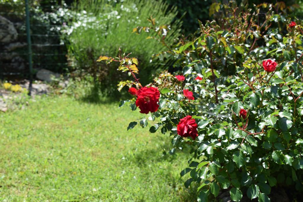Appartement Chiara Labin (Istria)